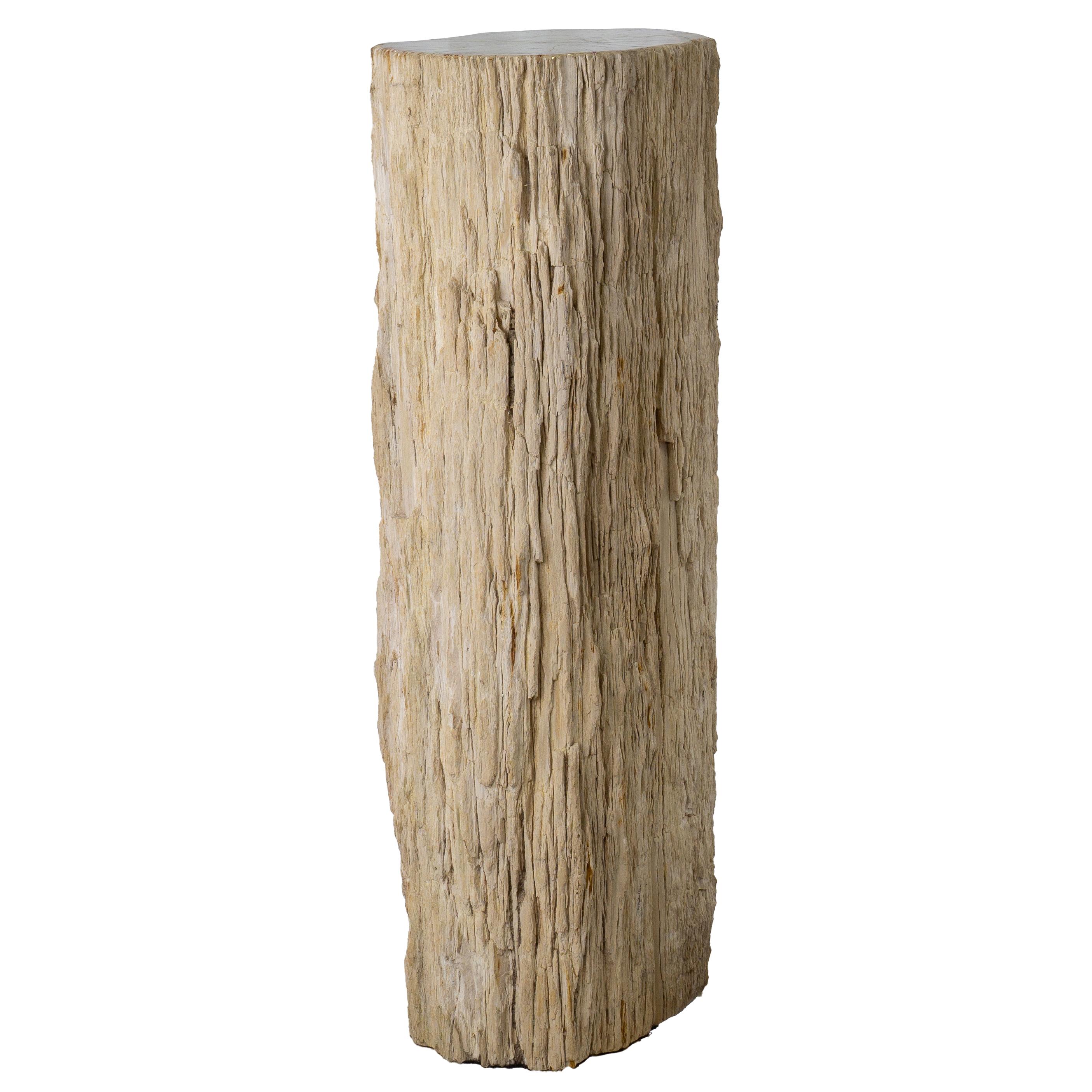 32-Inch Petrified Wood Stone Pillar - Petrified Wood Pedestal With Bark 1
