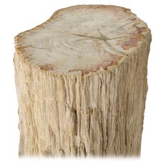 32 Zoll versteinerter Holzsteinsockel aus Holz – Sockel aus versteinertem Holz mit Bark