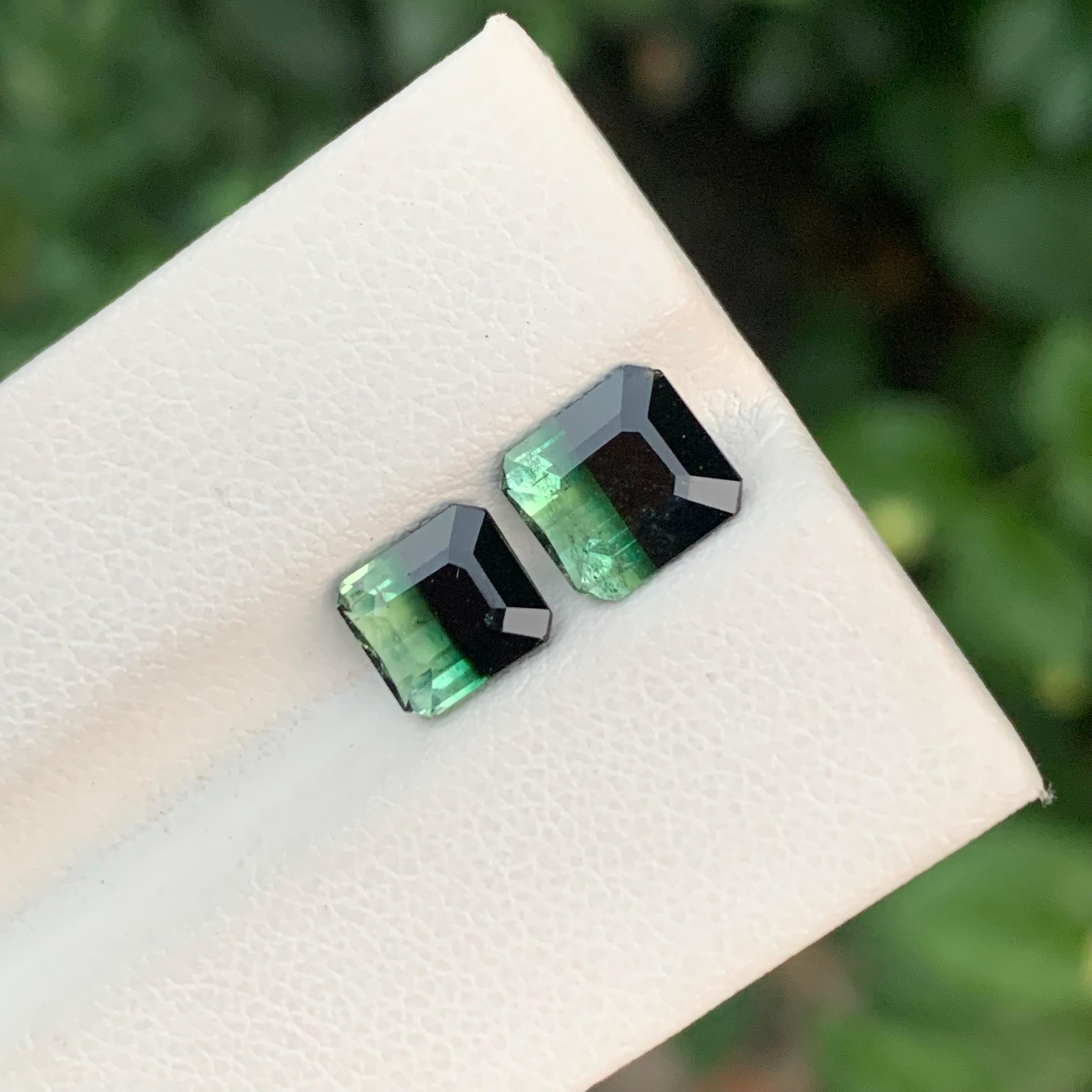 3,20 Carati Nature Dual Loose Bi Colour Tourmaline Emerald Shape Gemstone in vendita 4