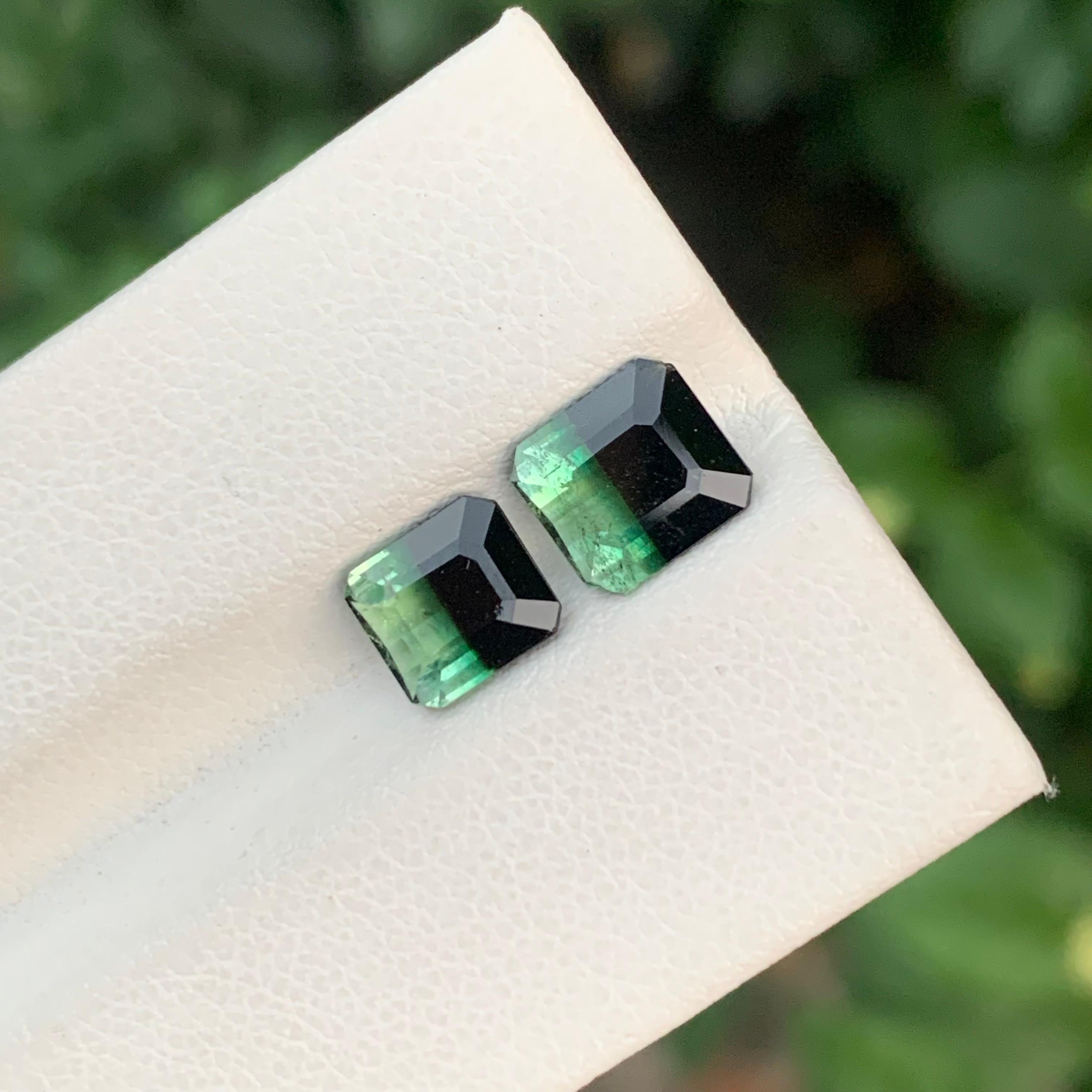 3,20 Carati Nature Dual Loose Bi Colour Tourmaline Emerald Shape Gemstone in vendita 5