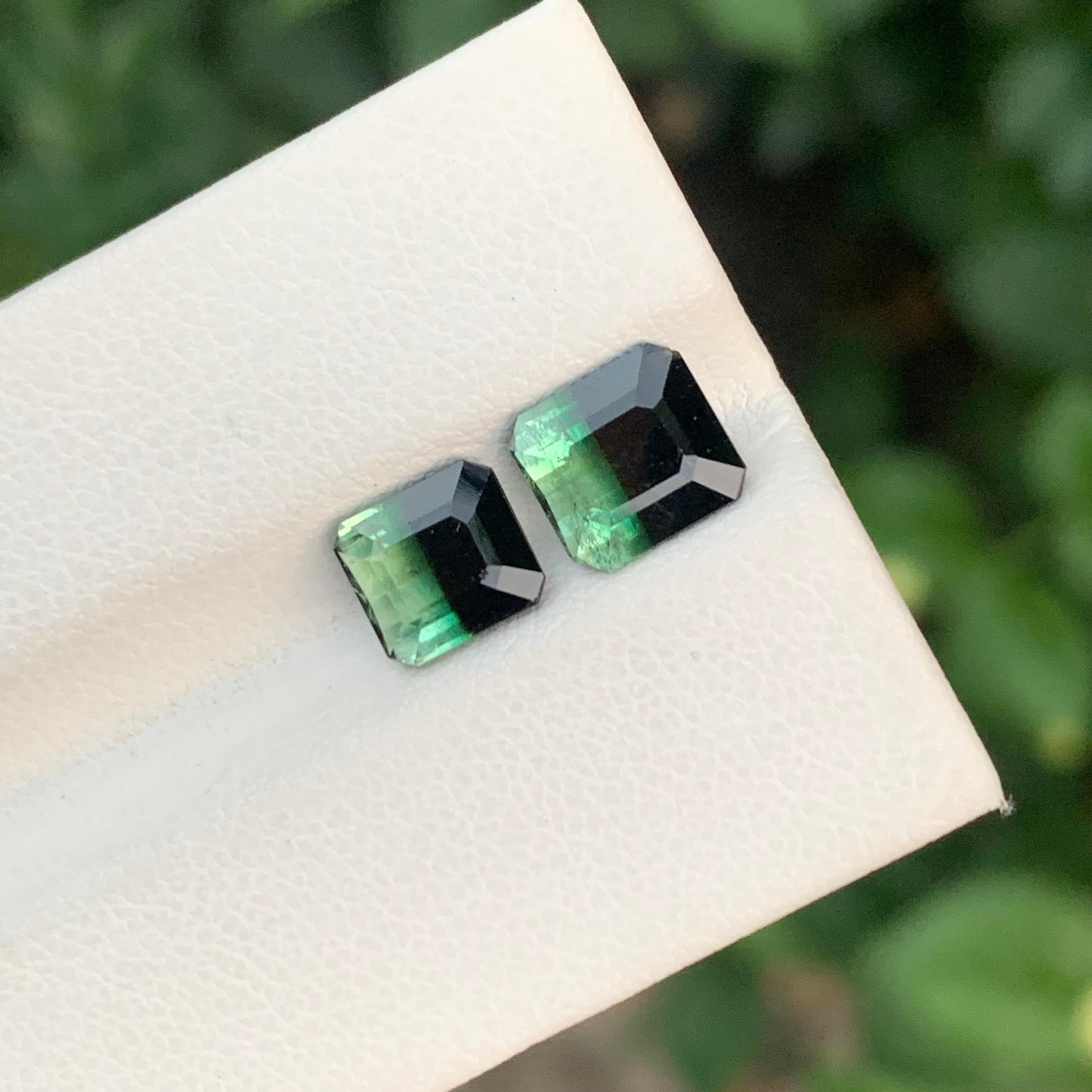 3,20 Carati Nature Dual Loose Bi Colour Tourmaline Emerald Shape Gemstone in vendita 2