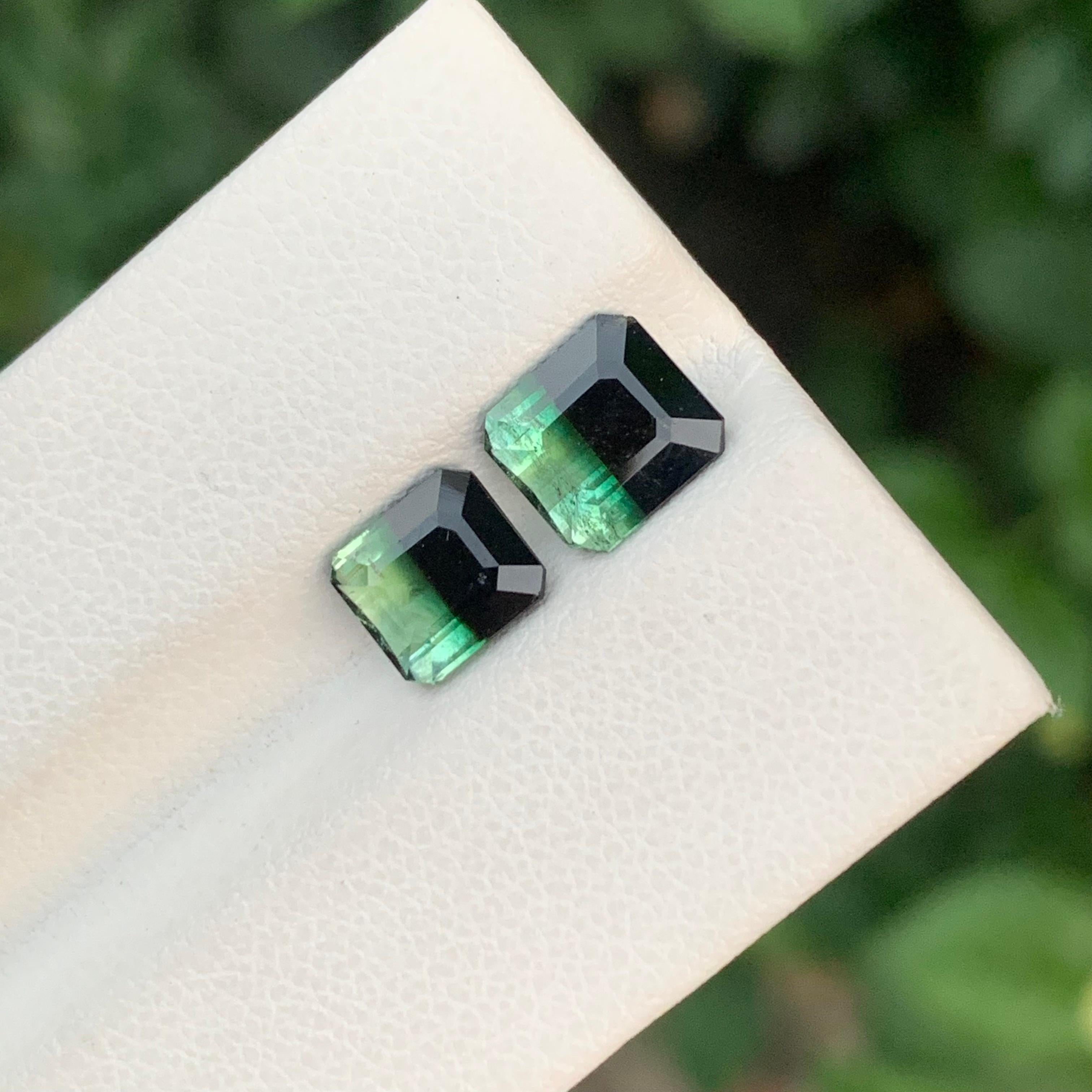 3,20 Carati Nature Dual Loose Bi Colour Tourmaline Emerald Shape Gemstone in vendita 3