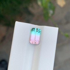 3.20 Carat Natural Loose Parti Tourmaline Emerald Shape Gemstone (pierre précieuse en forme d'émeraude)