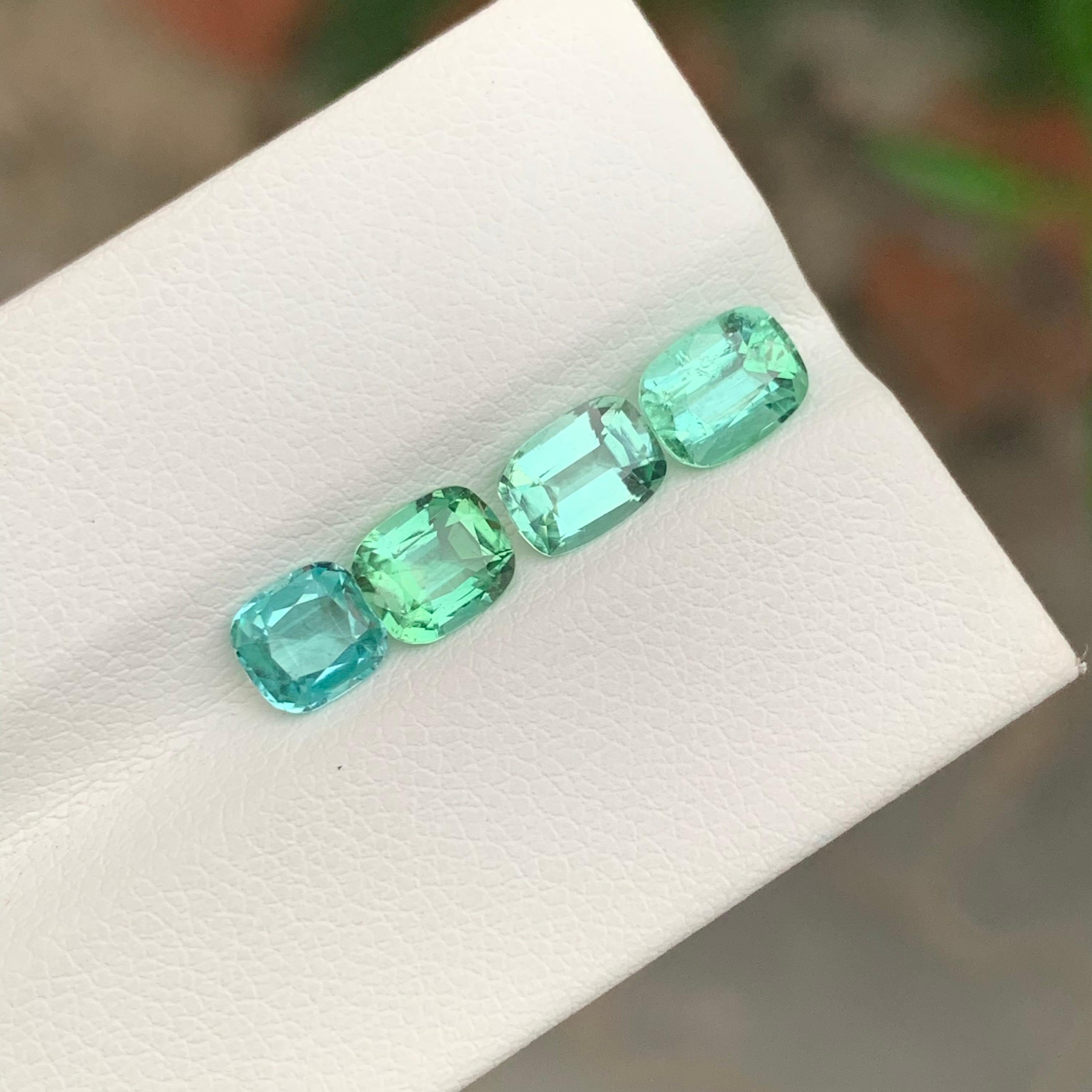Lote de turmalina verde suelta 

Peso: 3,20 quilates
Tamaños: 0,65 a 1,05 quilates 
Origen: Afganistán
Certificado: A petición
Tratamiento: No


La turmalina es una piedra preciosa cautivadora conocida por su notable variedad de colores, lo que la