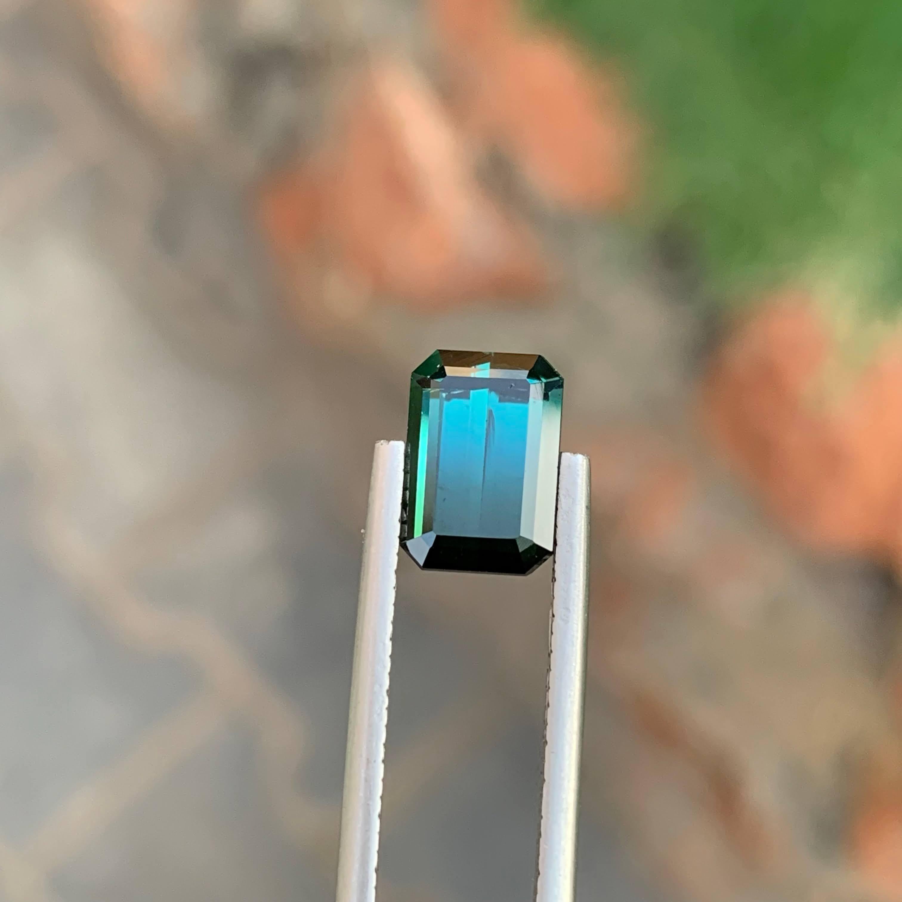 Poids 3,20 carats 
Dimensions 9,7x6,8x5,4mm
Traitement aucun 
Origine Afghanistan 
Clarté VVS 
Forme octogonale 
Taille émeraude 



Cette tourmaline exquise de 3,20 carats, provenant des riches mines de pierres précieuses d'Afghanistan, est un