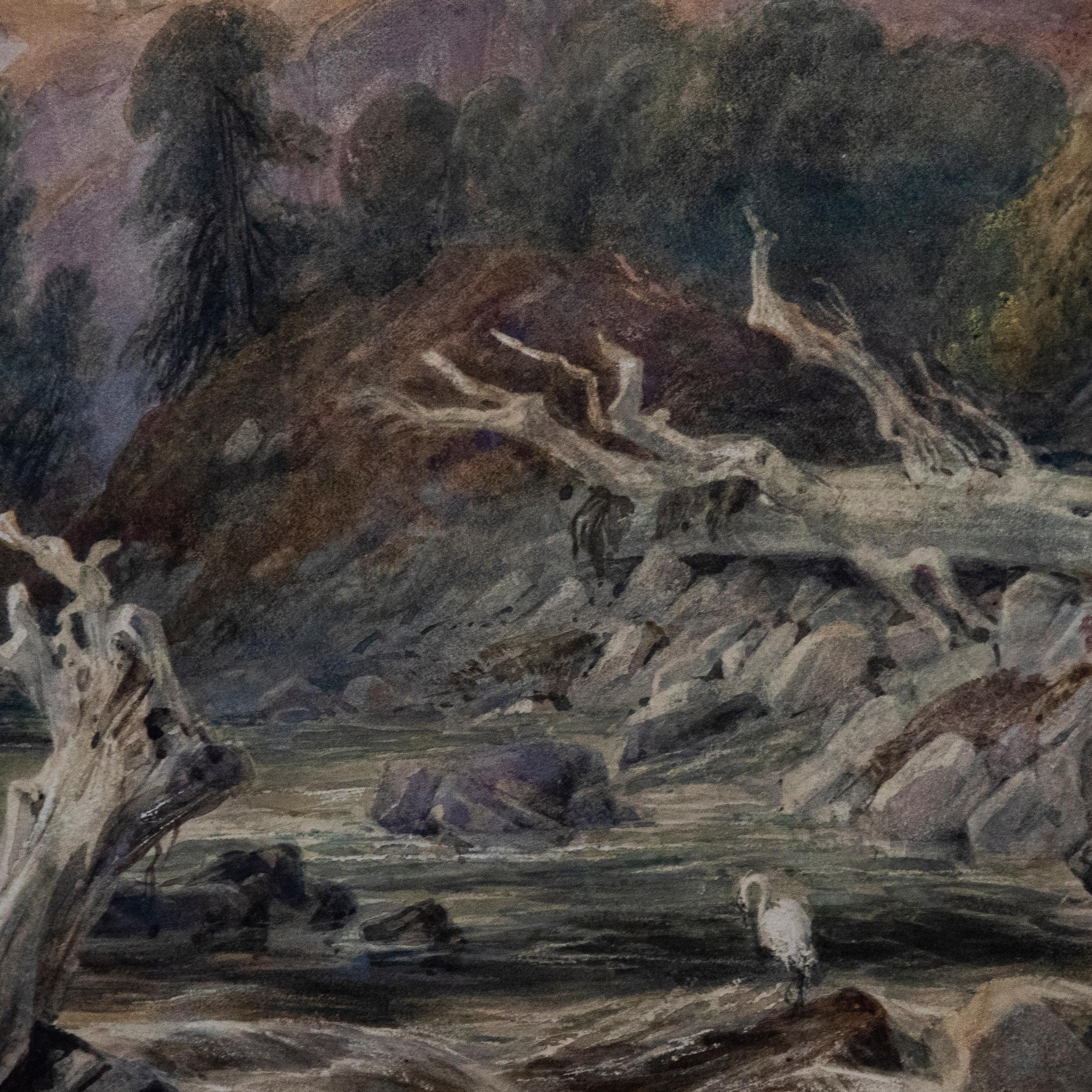 Samuel Austin (1796-1834) - 1831 Watercolour, Heron on the Rocks For Sale 3