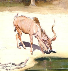 Allan Carter - Zeitgenössisches Aquarell, Kudu bewässern
