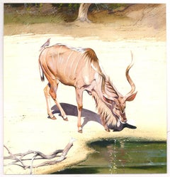 Allan Carter - Contemporary Watercolour, Watering Kudu