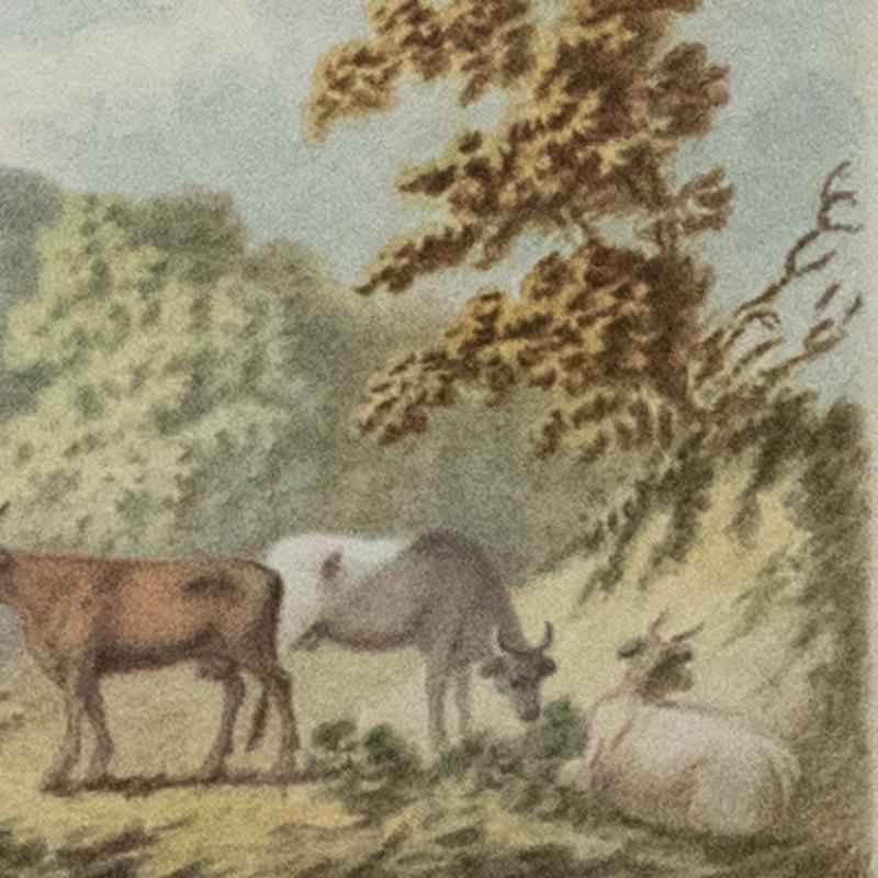 George Ely  - Early 19th Century Watercolour, Cattle in the Mountains For Sale 1