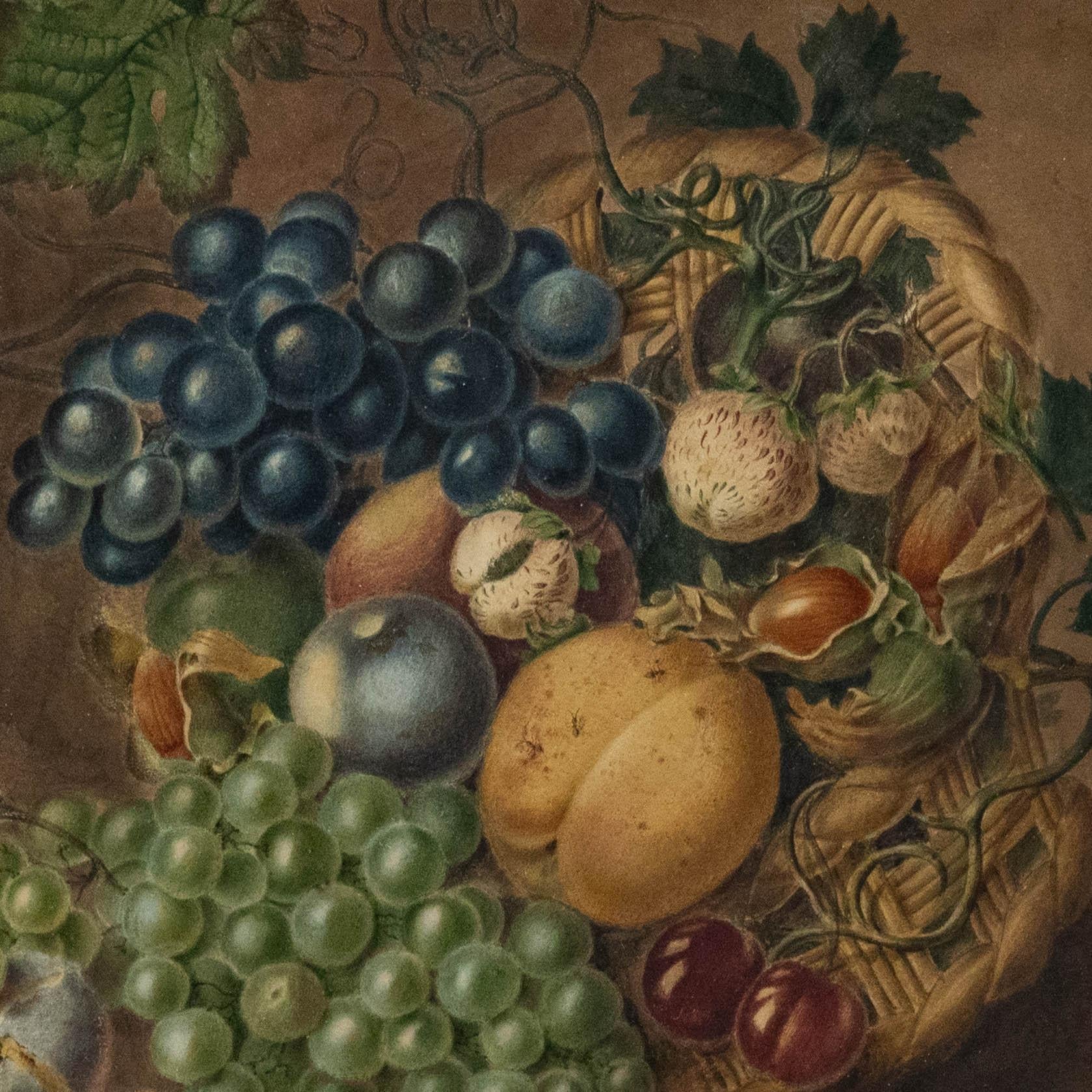 Aquarelle de l'English School du 19e siècle - Nature morte aux fruits et aux noix - Noir Still-Life par Unknown