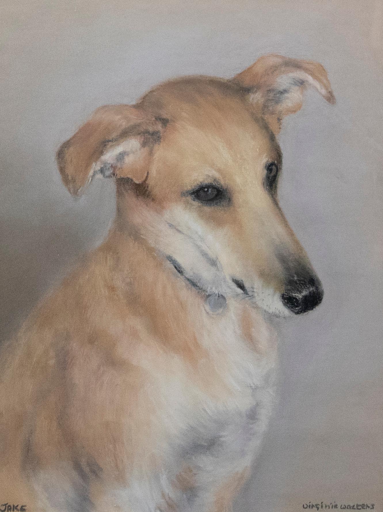 A delightful pastel portrait of Jake the Golden Whippet. Presented in a complimenting contemporary frame with double card mount. Signed and titled to the lower edge and labelled to the reverse. On paper.