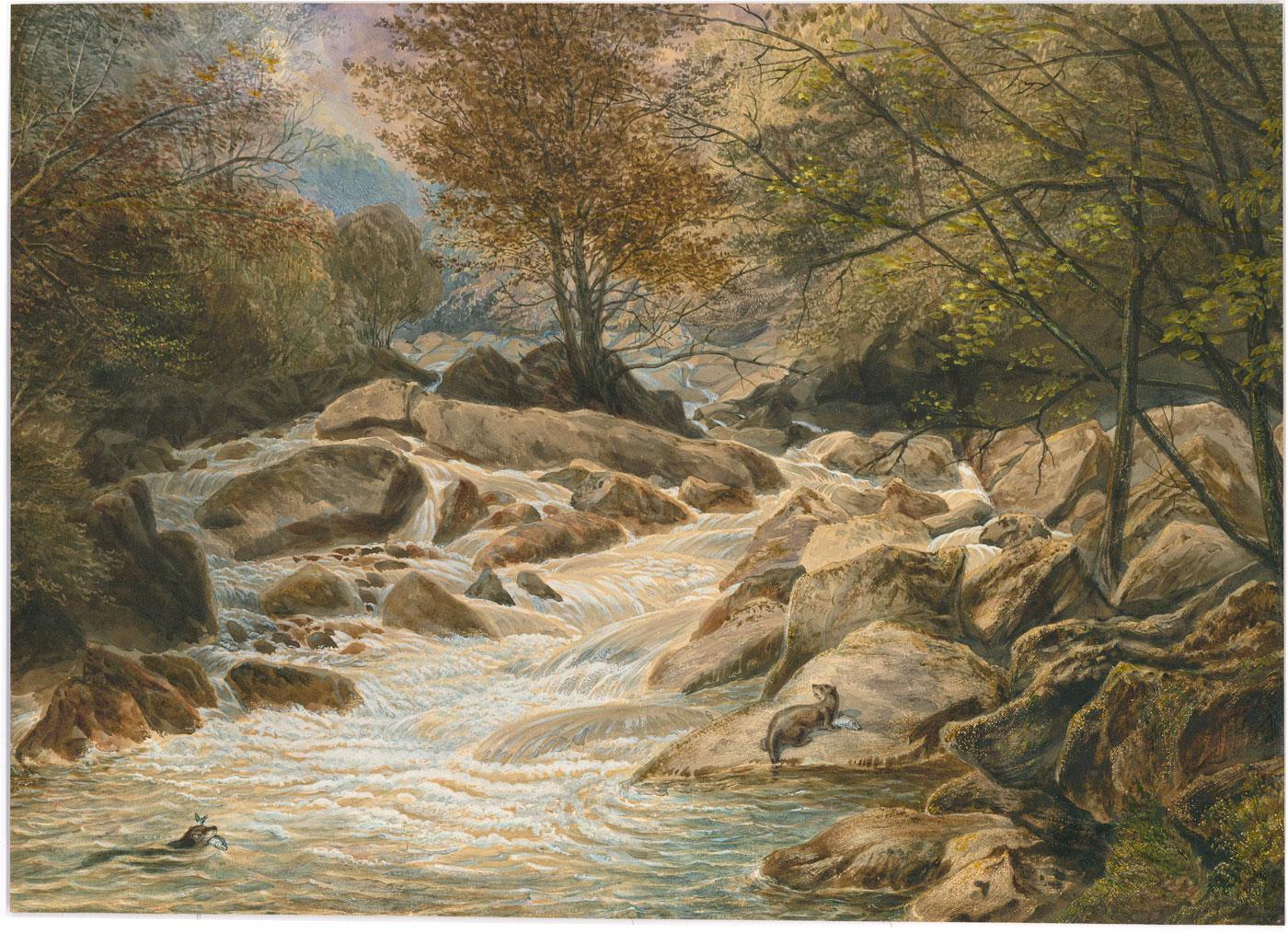 William Dickes  (1815-1892) - Late 19th Century Watercolour, The Otter's Catch - Art by Unknown