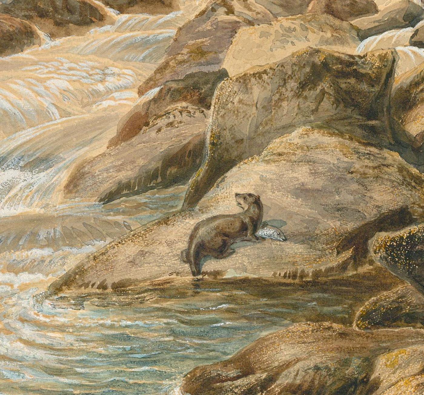 A charming watercolour study depicting two otter catching fish on the bend of a river by moonlight. Heightened with body colour. Signed verso. On paper.
