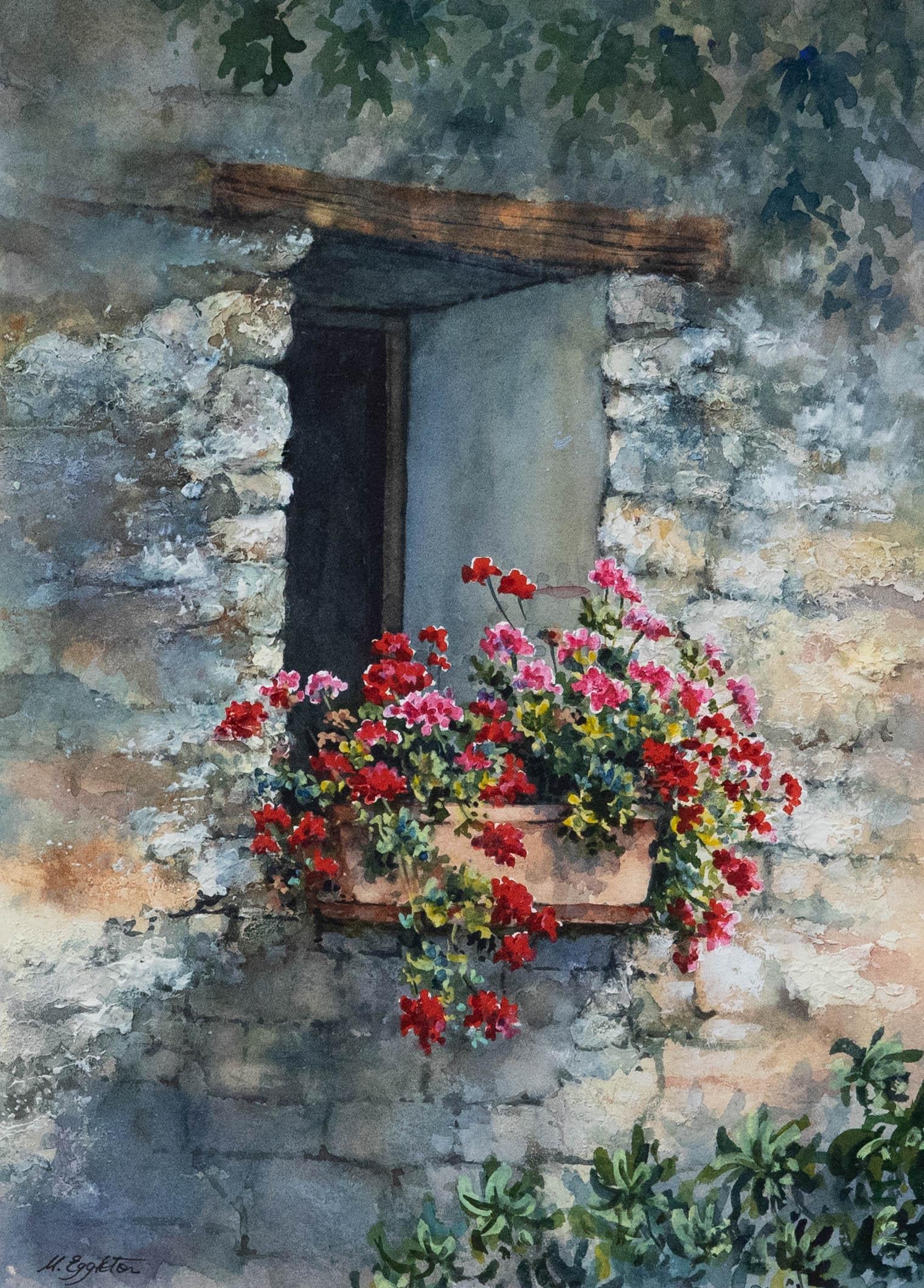Margaret Eggleton SWA - Contemporary Watercolour, Geraniums at the Window - Art by Unknown