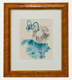 Aquarell aus der Mitte des 19. Jahrhunderts – Weißer Mohnblumen
