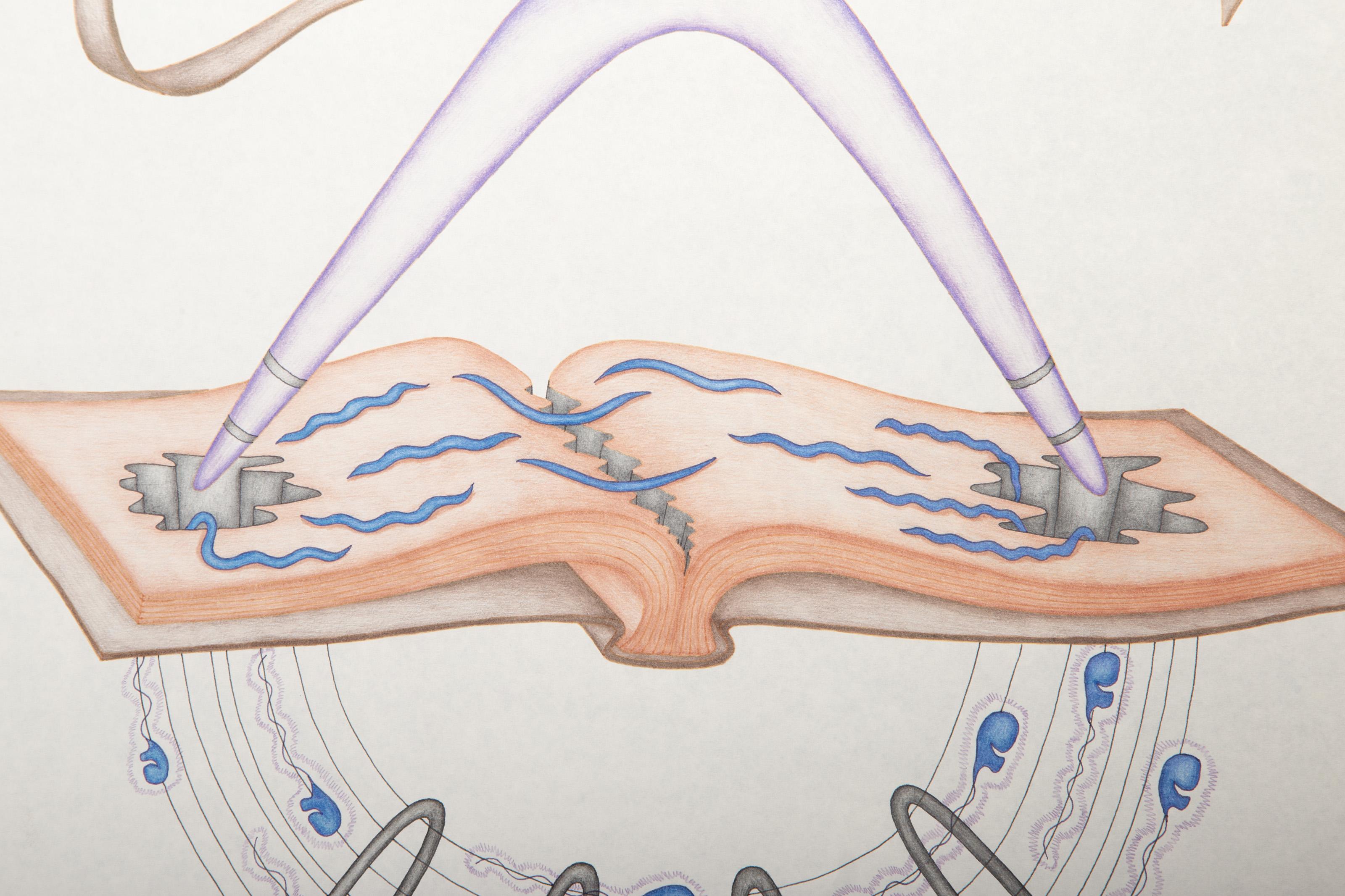 Primordial Pie, Color Pencil and Ink on Paper by Kevin Varner For Sale 3