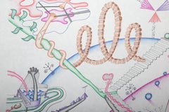 The Inverse-Parallel Cornucopia-Arachibutyrophobia Syndrome by Kevin Varner