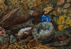 Circle of Oliver Clare (1853-1927) - Framed Watercolour, The Sparrow's Nest