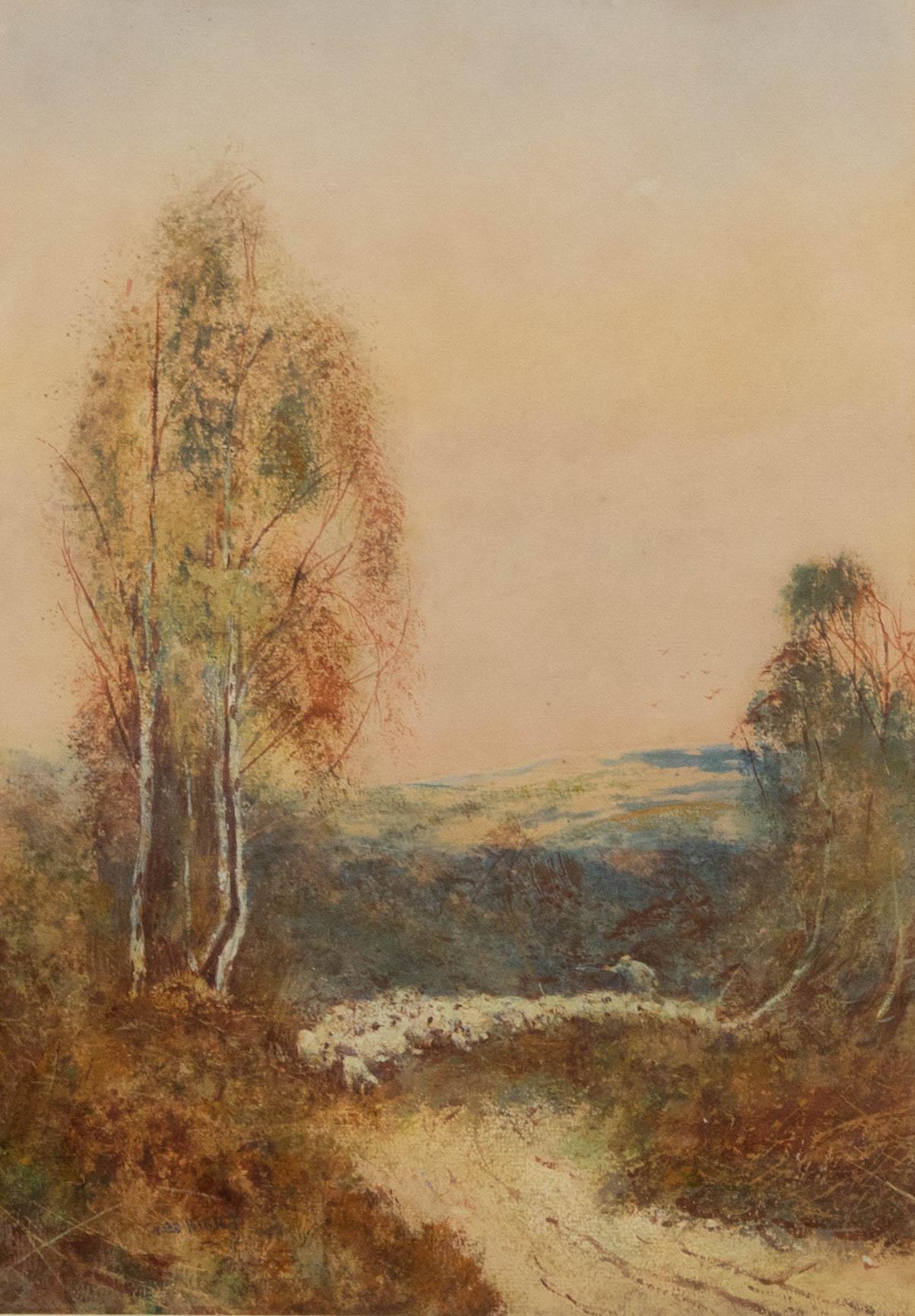 Frederick Hines (fl.1875-1928) - Framed Watercolour, Shepherd Herding Sheep For Sale 1