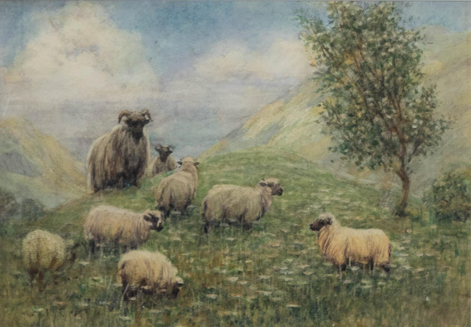 John R. K. Duff RI (1862-1938) - Framed Watercolour, Sheep Grazing on Hillside - Art by Unknown