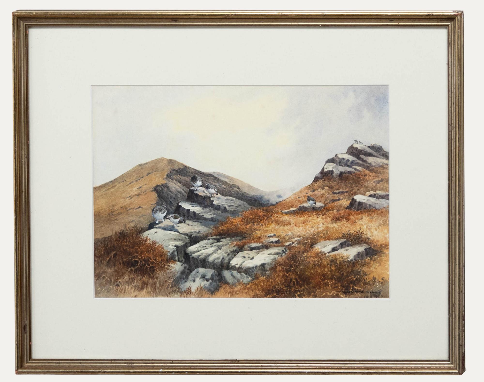Unknown Landscape Art - Berrisford Hill (b.1930)  - 1982 Watercolour, Ptarmigan Amongst the Rocks
