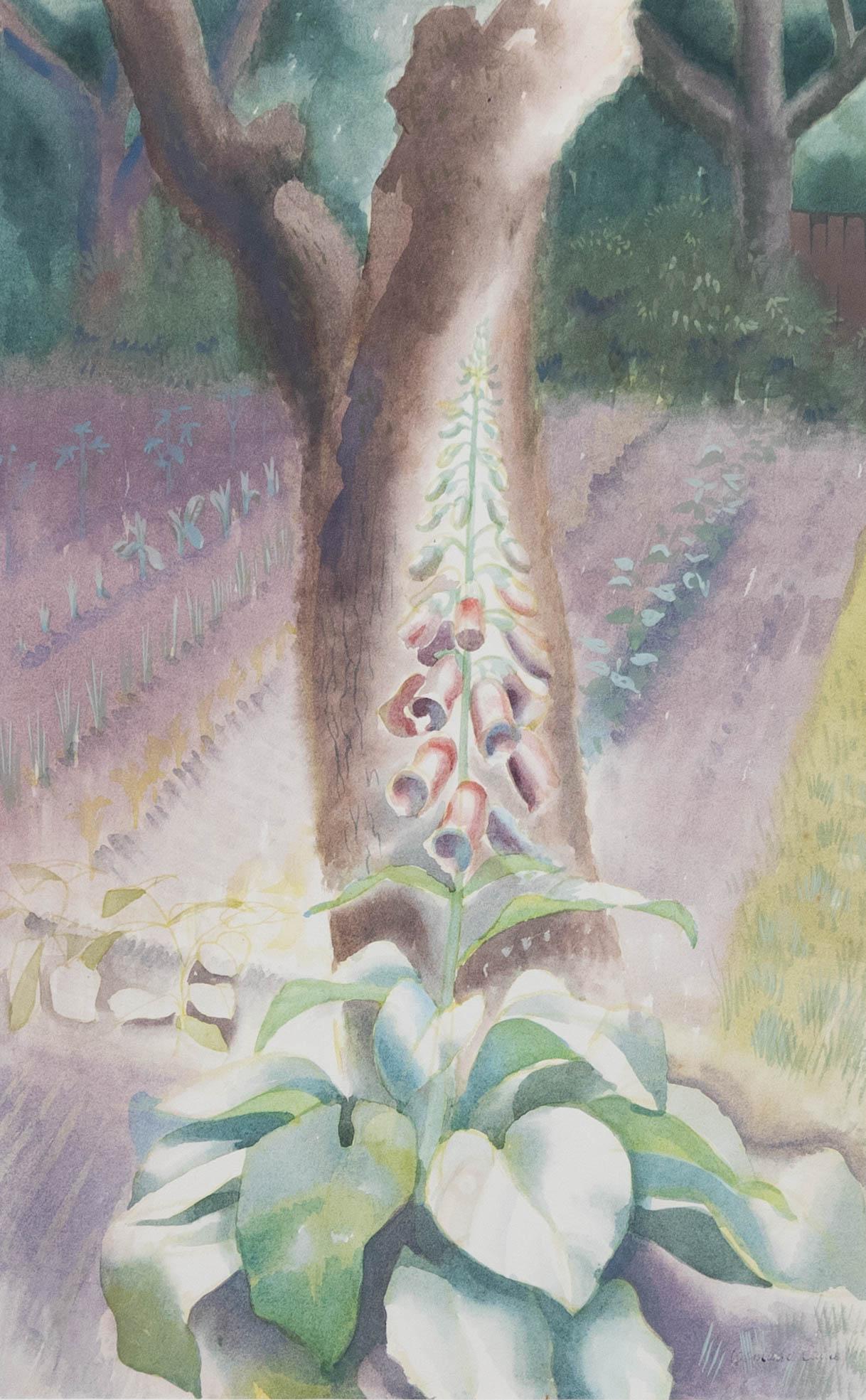 Osmund Caine (1914-2004) - 1949 Watercolour, Foxgloves - Art by Unknown