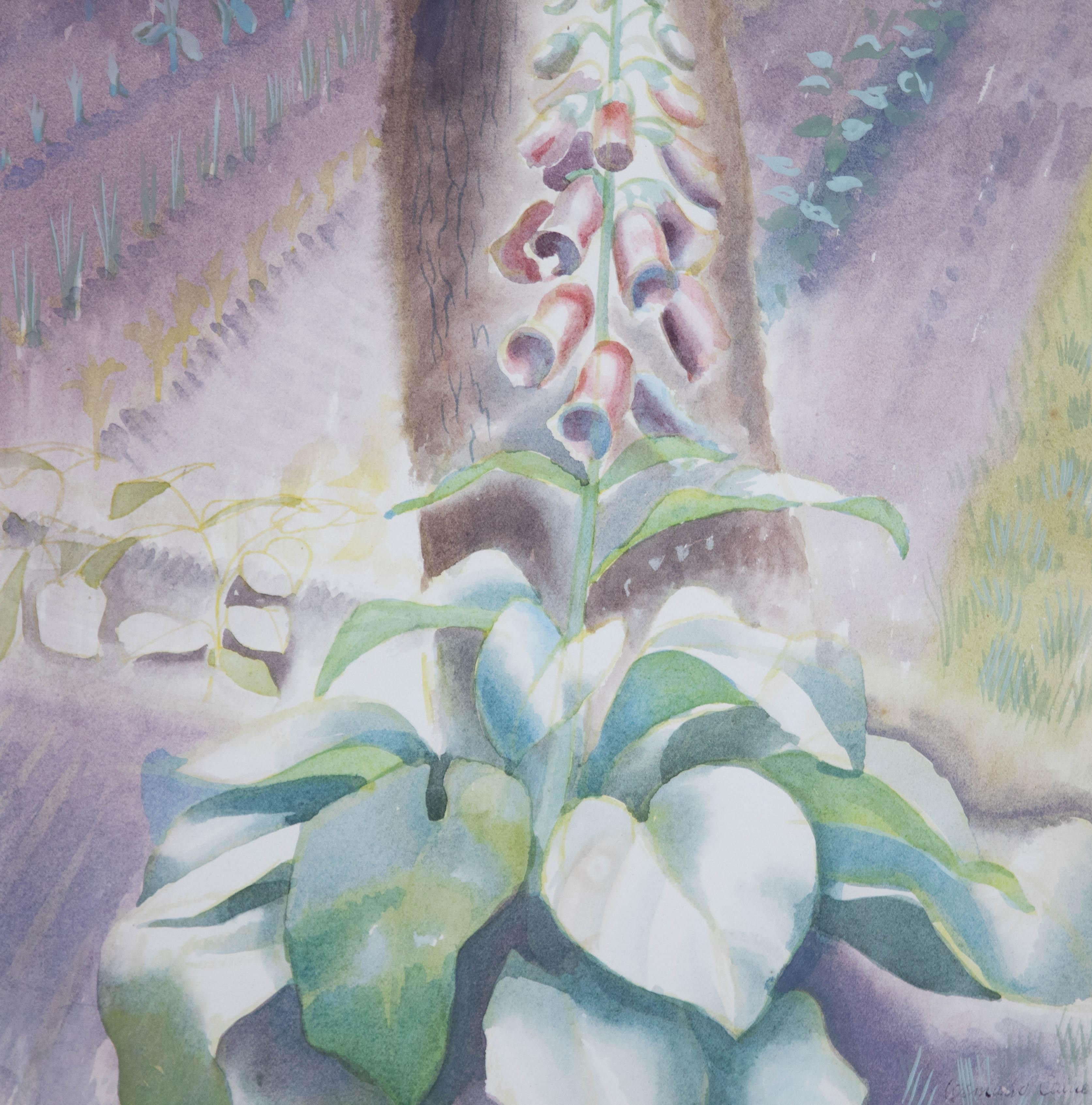 Osmund Caine (1914-2004) - 1949 Watercolour, Foxgloves For Sale 1