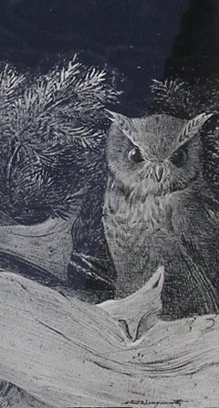 Stow Wengenroth Original Dry Brush Drawing, 1966, "The Little Owl"