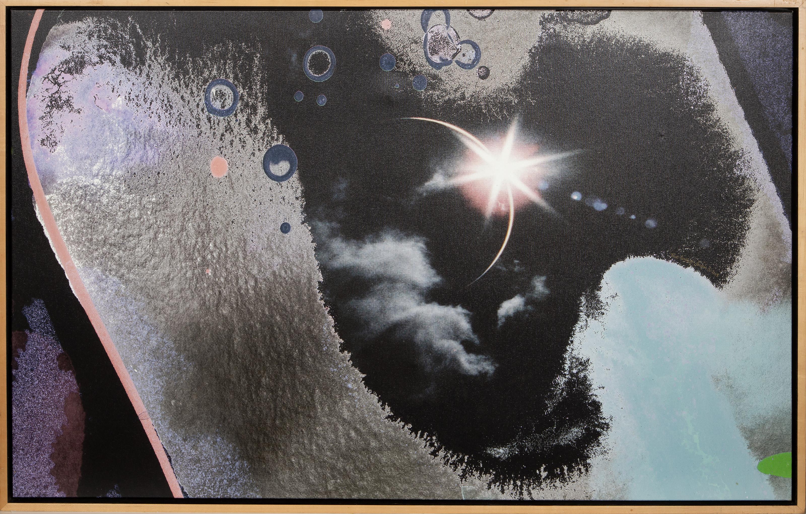 Michael Knigin, americano (1942 - 2011) - True Royalty, Anno: 2008, Medium: Stampa cromogenica su tela, firmata, intitolata e datata a penna al centro a destra, Dimensioni: 37.5 x 58 pollici (95.25 x 147.32 cm), Dimensioni cornice: 39.5 x 60 pollici