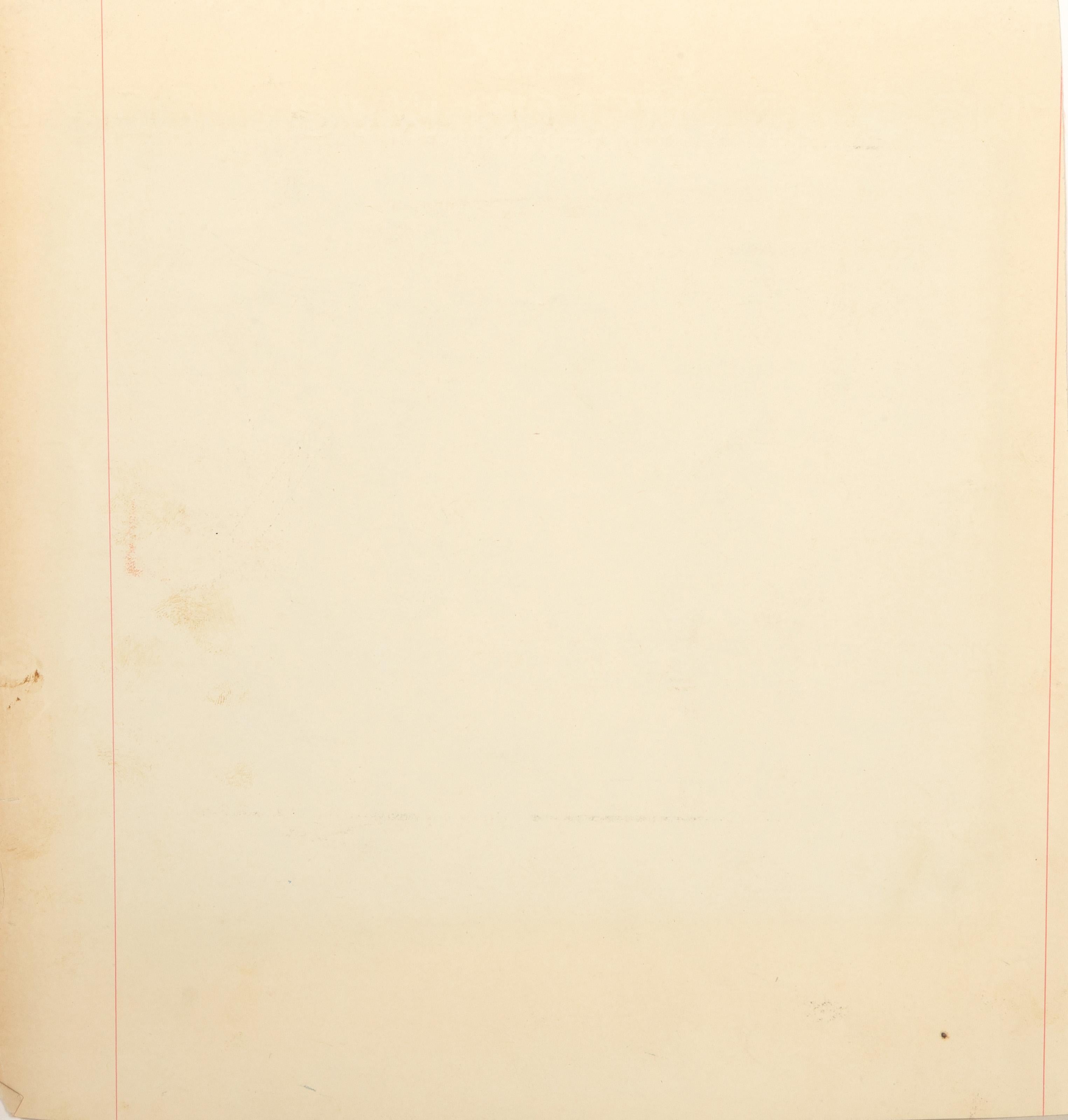 Ohne Titel IV, Abstrakt-expressionistisches Graphit und Tinte auf Papier von Frank Roth im Angebot 2