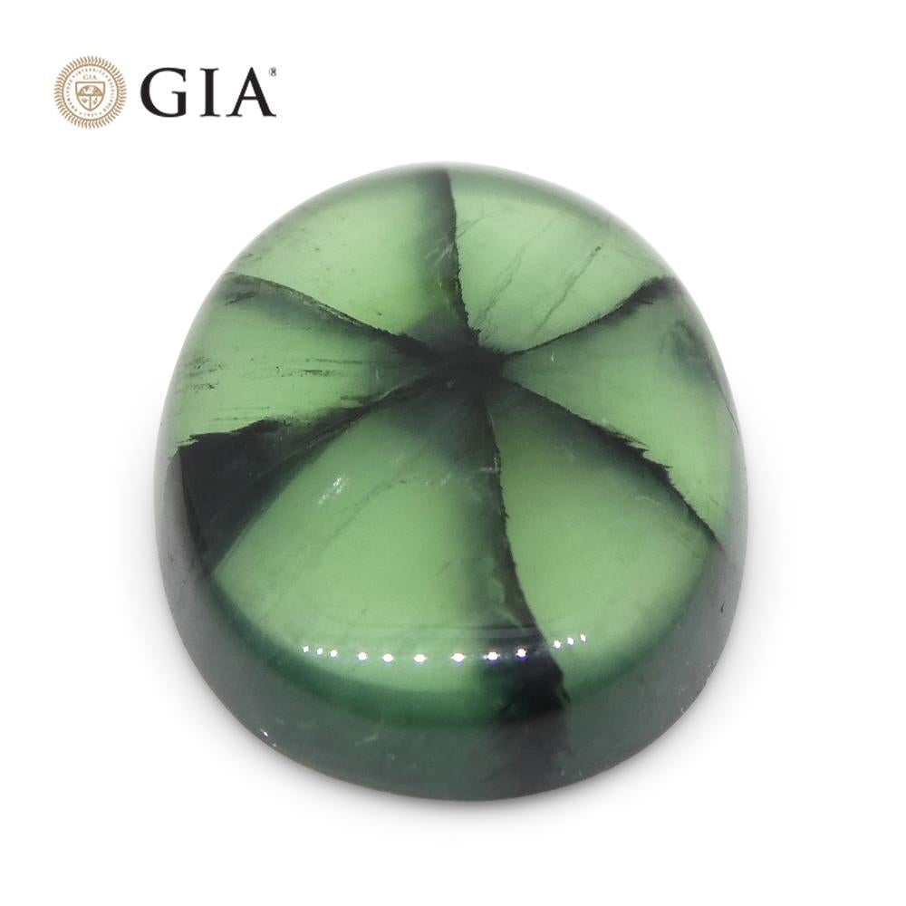 3.21ct Emeraude ovale verte et noire Trapiche certifiée GIA Colombie en vente 6