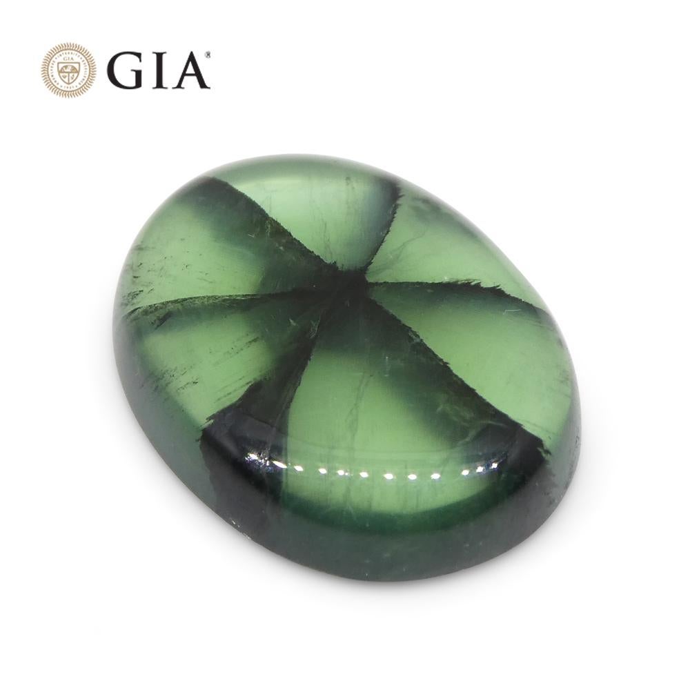 3.21ct Oval Green And Black Trapiche Emerald GIA Certified Colombia For Sale 5