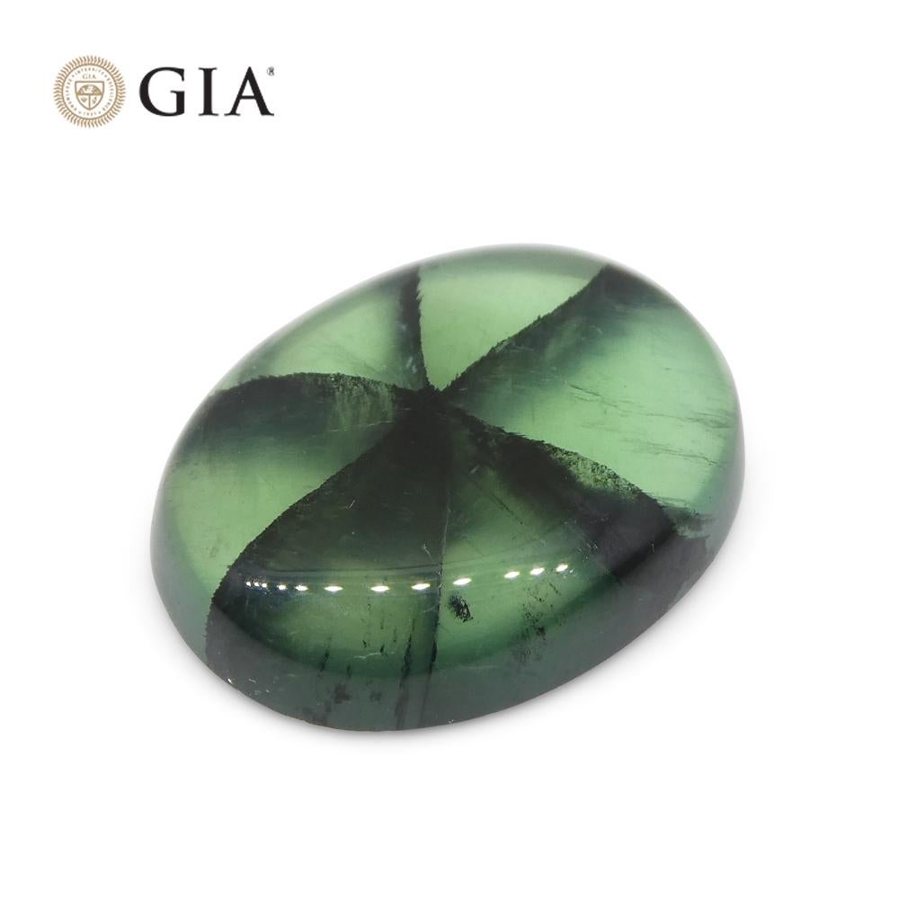 3.21ct Oval Green And Black Trapiche Emerald GIA Certified Colombia For Sale 6