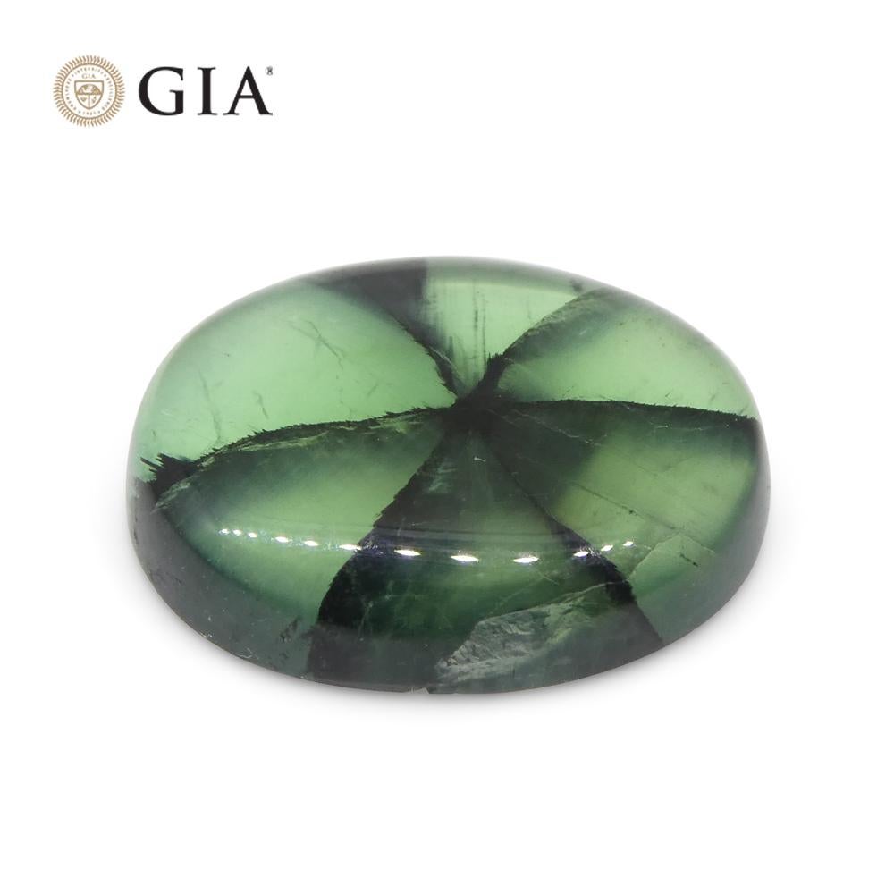 Women's or Men's 3.21ct Oval Green And Black Trapiche Emerald GIA Certified Colombia For Sale