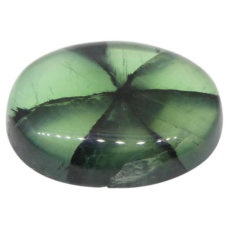 Oval Cut 3.21ct Oval Green And Black Trapiche Emerald GIA Certified Colombia For Sale