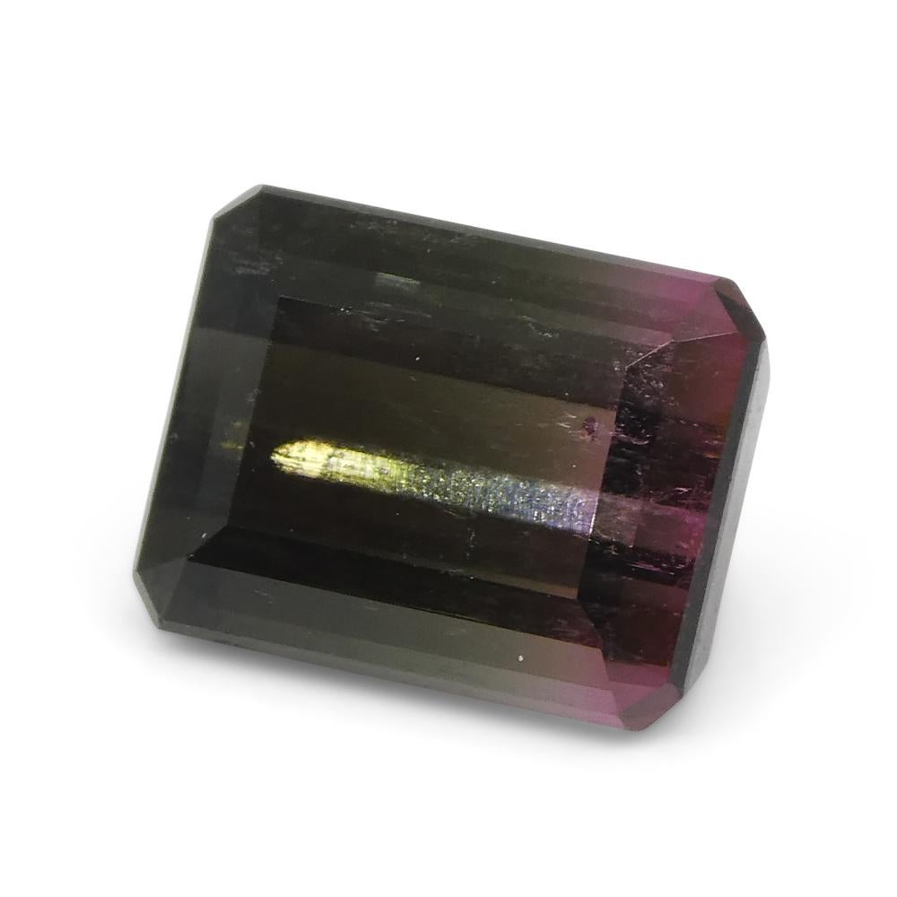 3,22ct Smaragdschliff Blau & Rosa zweifarbiger Turmalin im Angebot 7