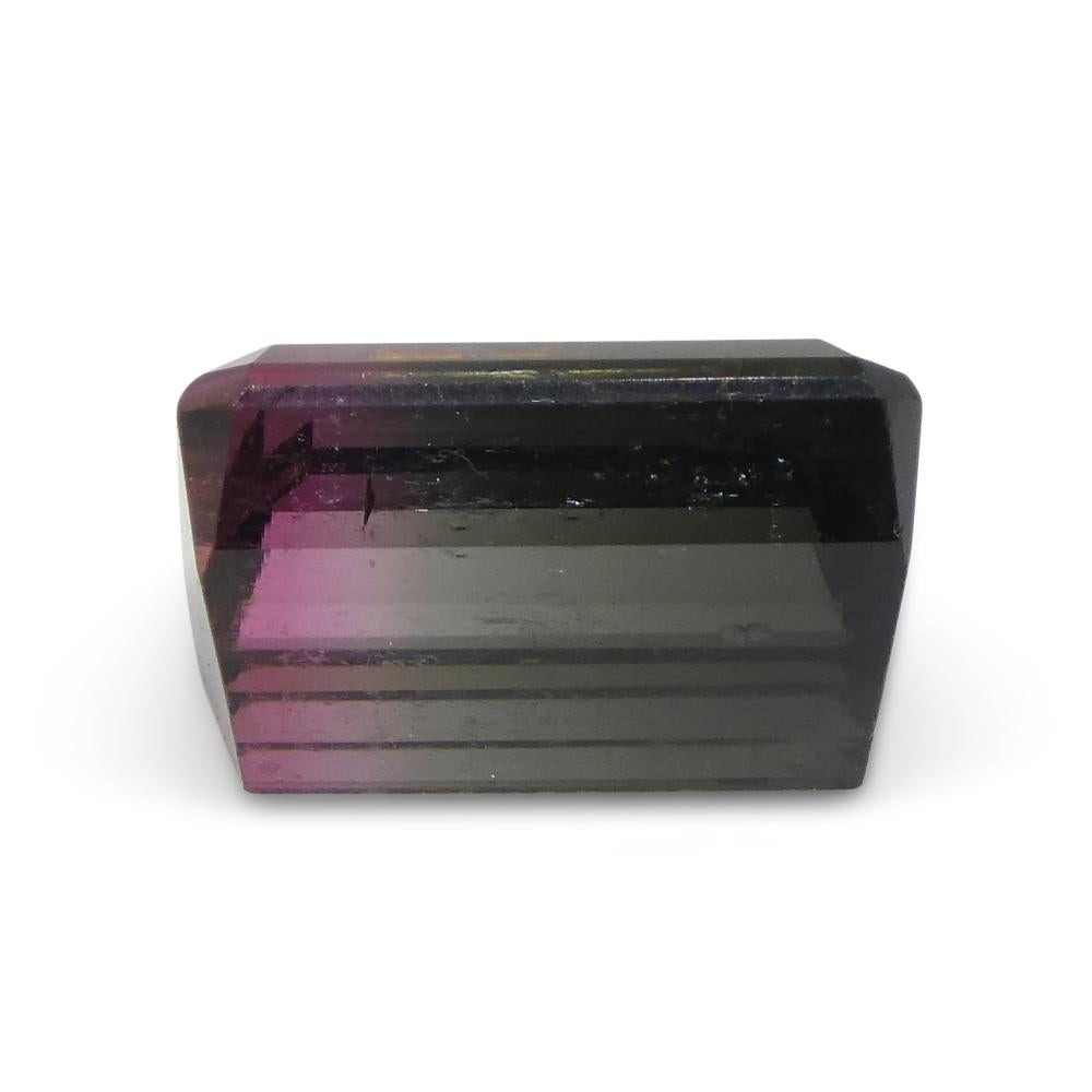 3,22ct Smaragdschliff Blau & Rosa zweifarbiger Turmalin im Angebot 9
