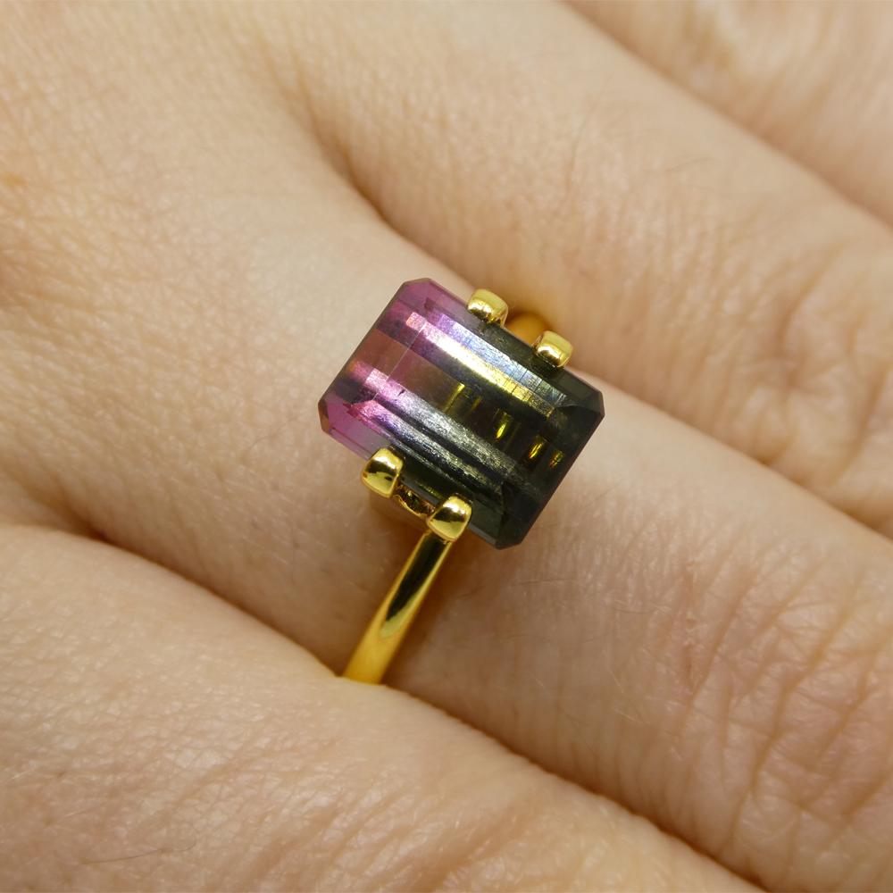 Beschreibung:

Edelstein-Typ: Zweifarbiger Turmalin
Anzahl von Steinen: 1
Gewicht: 3,22 Karat
Abmessungen: 9,09 x 7,11 x 5,33 mm
Form: Smaragd-Schliff
Schnittstil Krone: Stufenschnitt
Schnittstil-Pavillon: Stufenschnitt
Transparenz: