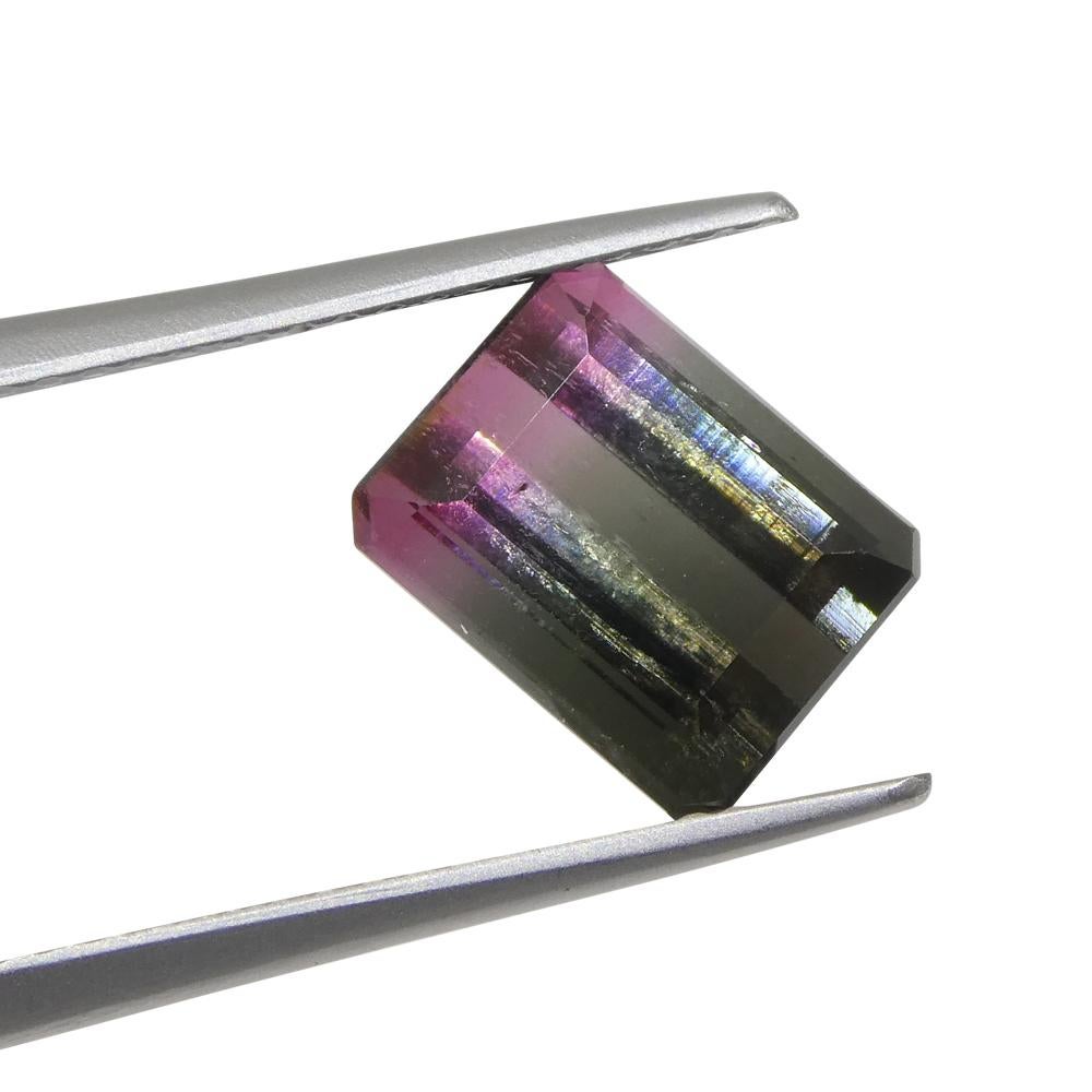 3,22ct Smaragdschliff Blau & Rosa zweifarbiger Turmalin im Zustand „Neu“ im Angebot in Toronto, Ontario
