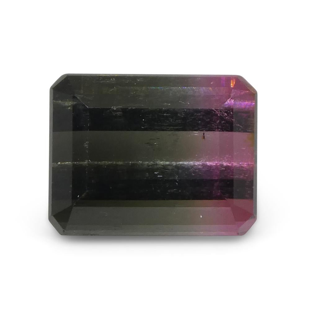 3,22ct Smaragdschliff Blau & Rosa zweifarbiger Turmalin im Angebot 2