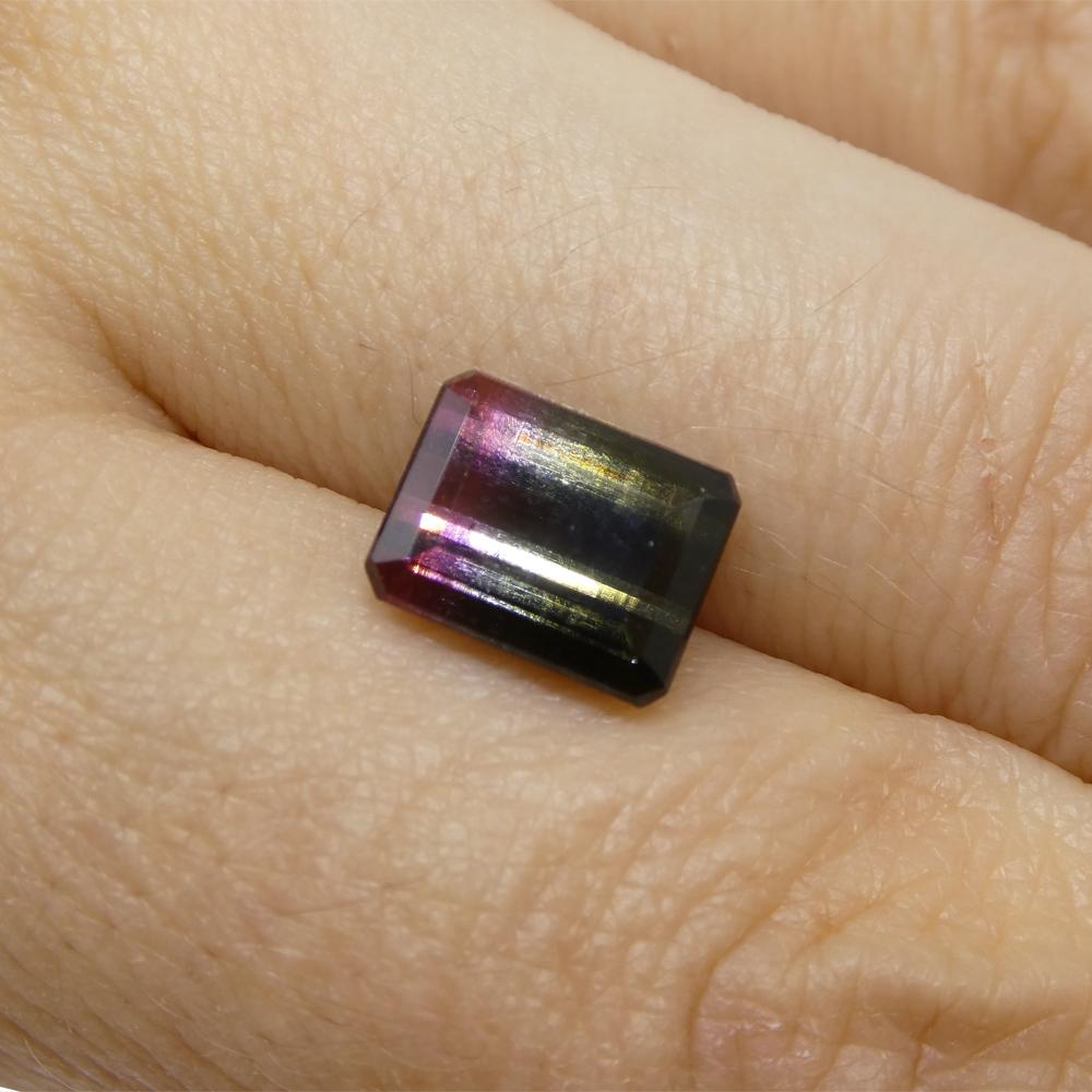 3,22ct Smaragdschliff Blau & Rosa zweifarbiger Turmalin im Angebot 5
