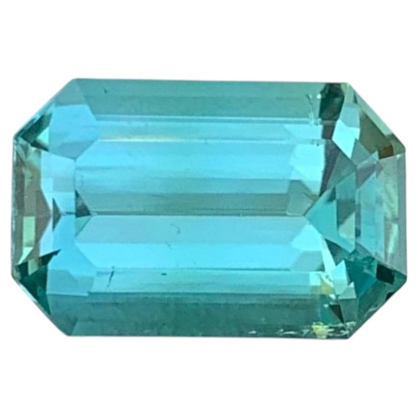 3.25 Carat Natural Loose Mint Green Tourmaline Emerald Shape Gemstone (pierre précieuse en forme d'émeraude)