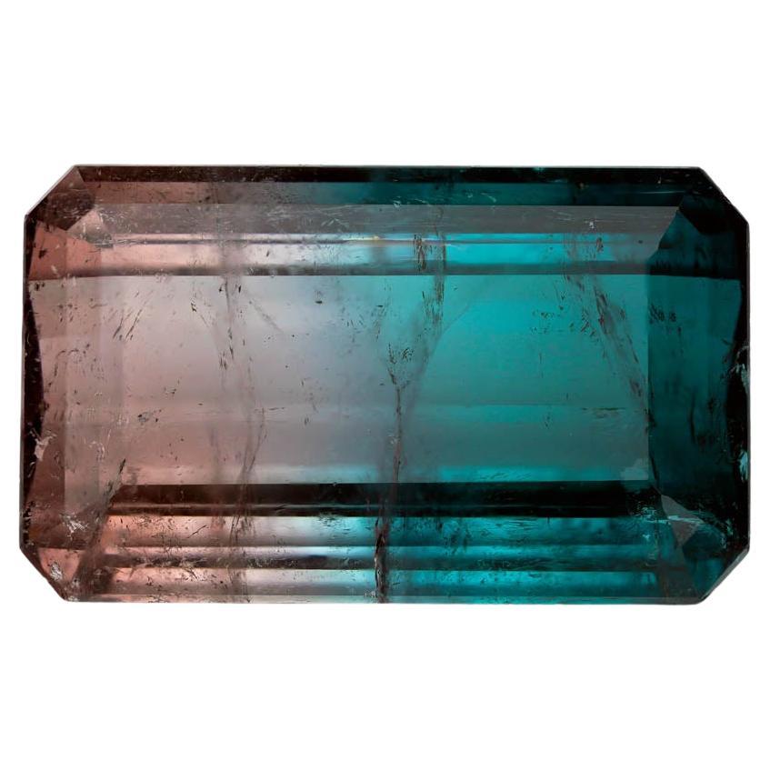 32.75 Carat Emerald Cut Watermelon Tourmaline en venta
