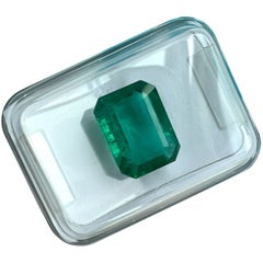 3.27ct IGI Certified Natural ZambiaN Emerald Deep Green Ocatgon Cut Rare Gem