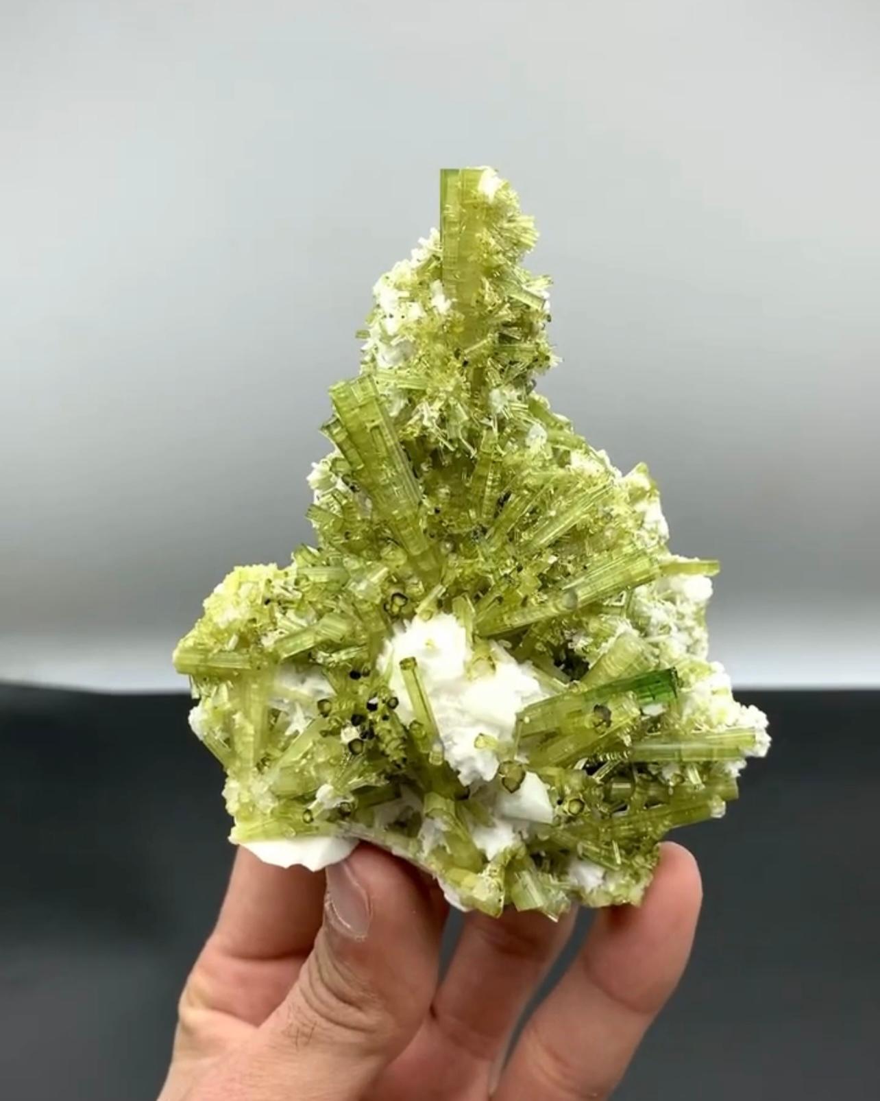328 Grams Mint-Green Tourmaline Crystal Cluster On Albite From Pakistan For Sale 5