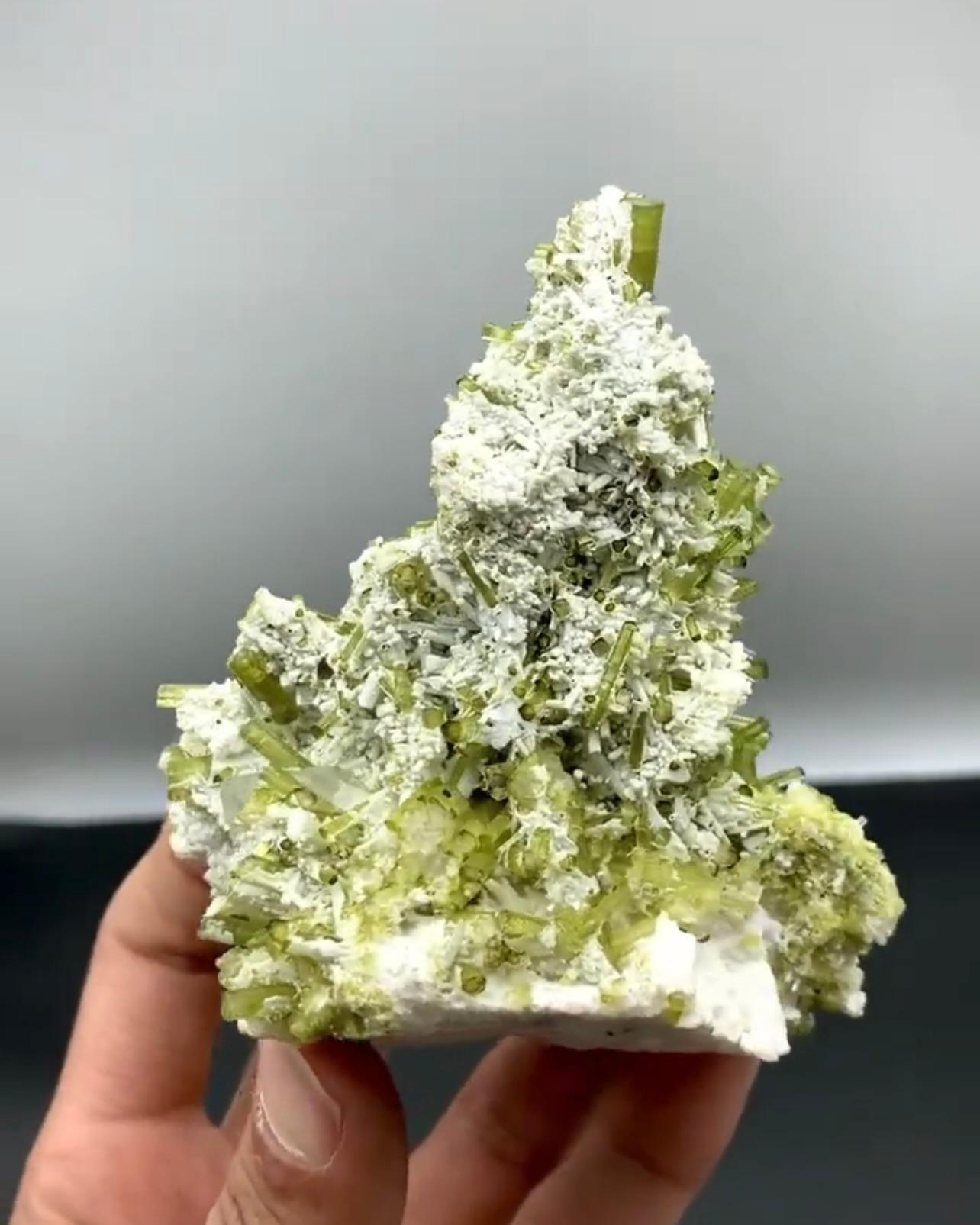 Product Information:

Specimen Name: Tourmaline Cluster on Albite

Weight: 328 grams

Dimensions: H: 11.8 x W: 9.4 x D: 7.4 cm 

Treatment: None

Origin: Chappu Mine, Shigar Valley, Skardu, Gilgit Baltistan Province, Pakistan

Description:

This