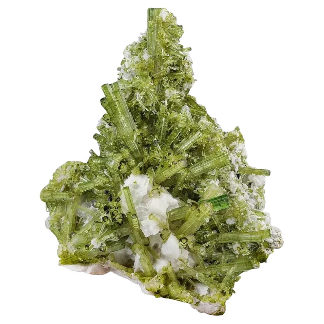 328 grammi di cristallo di tormalina verde menta su albite dal Pakistan