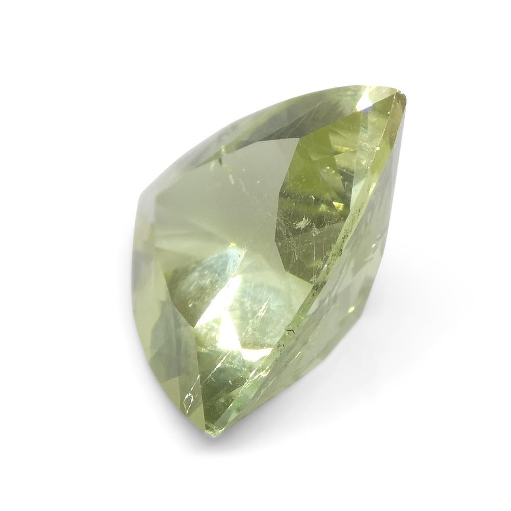 3.29ct Trillion Green Tourmaline from Brazil For Sale 4
