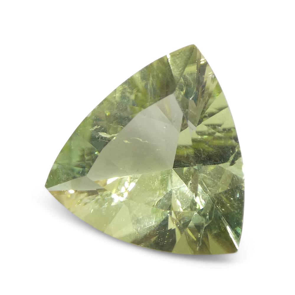 3.29ct Trillion Green Tourmaline from Brazil For Sale 5