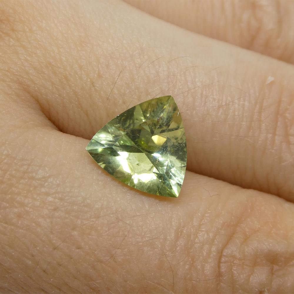 3.29ct Trillion Green Tourmaline from Brazil For Sale 6